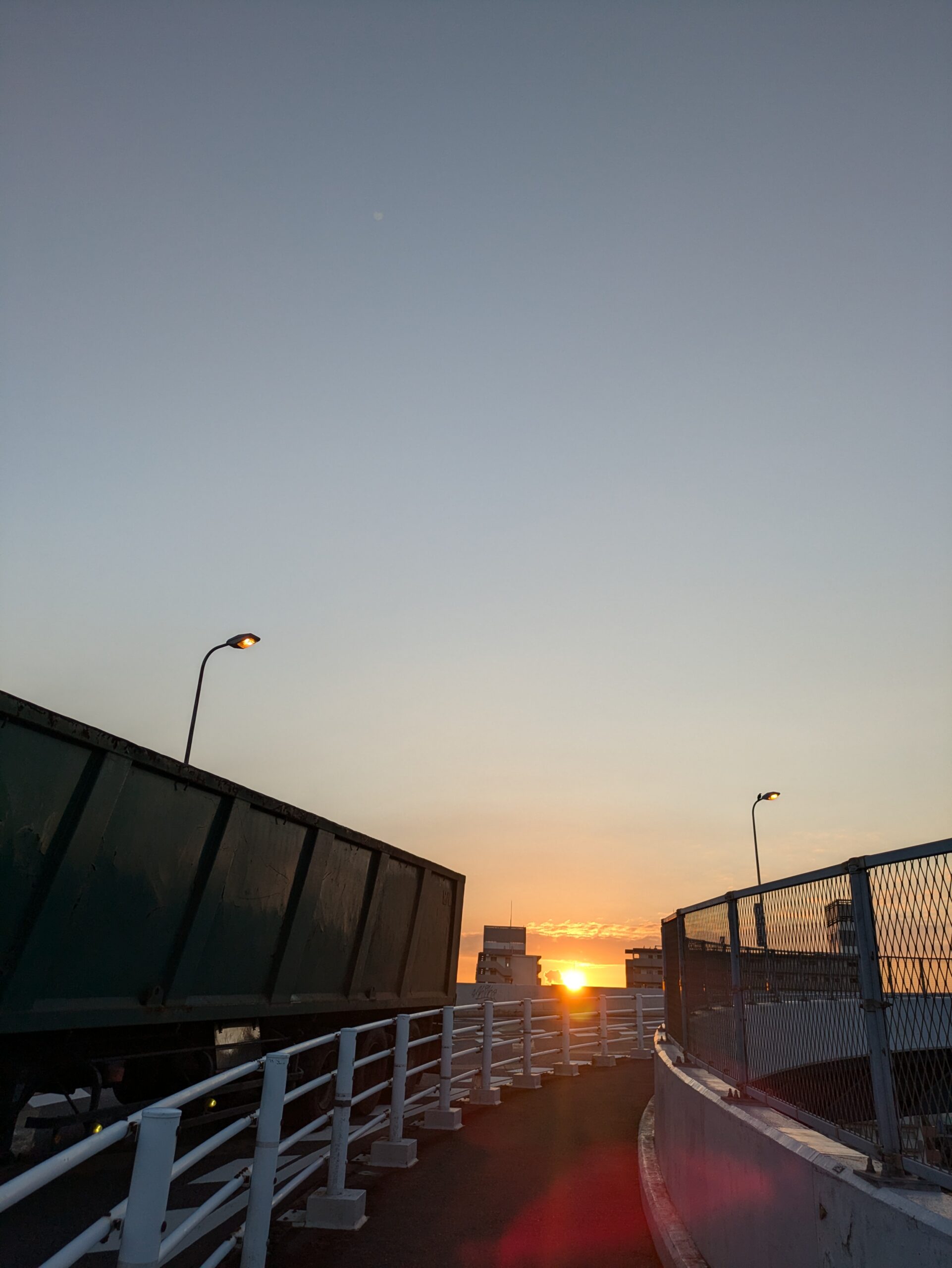 本当に知りたいことは自分で見つけるしかない