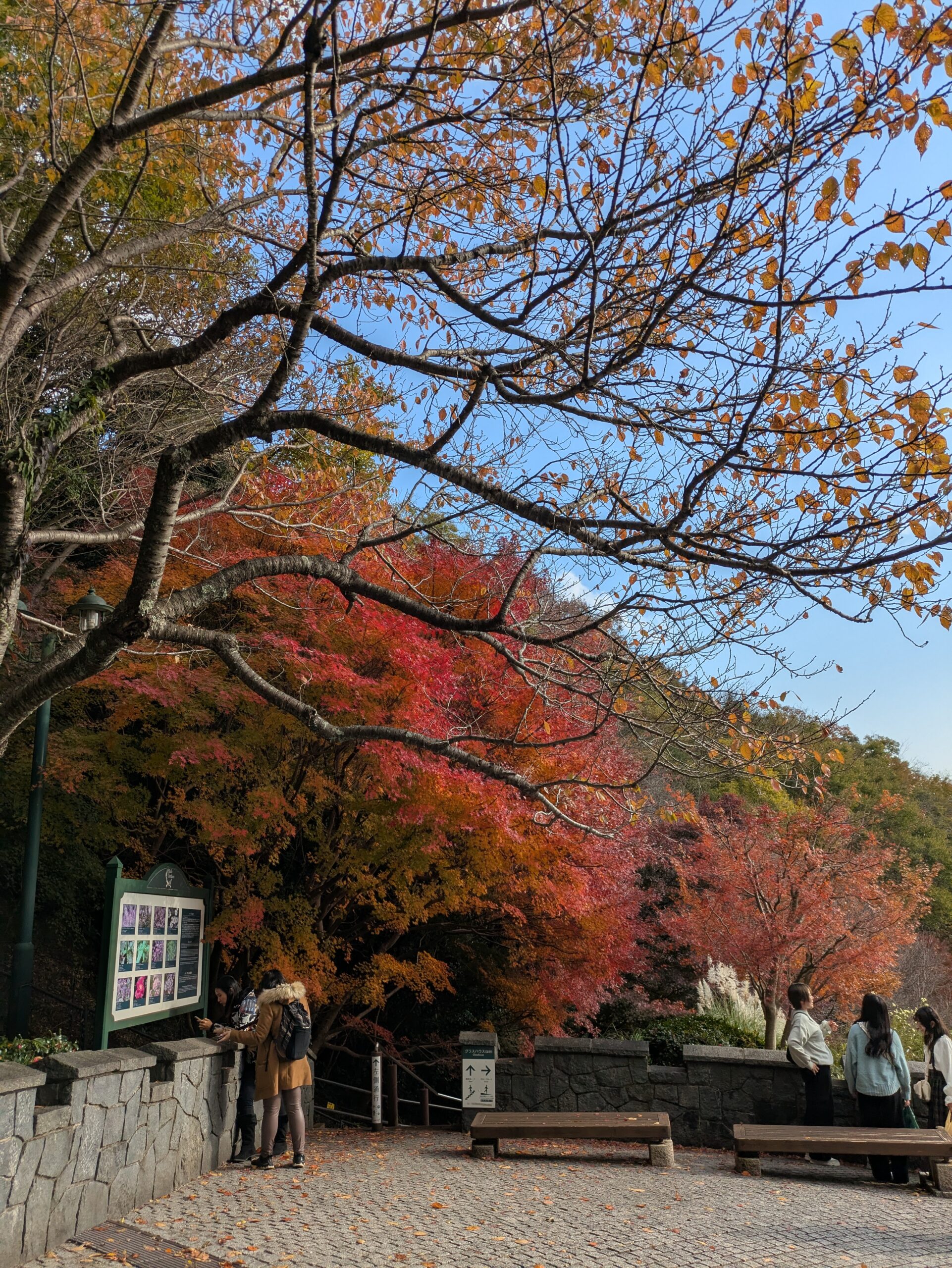 無知無明で会話ができない