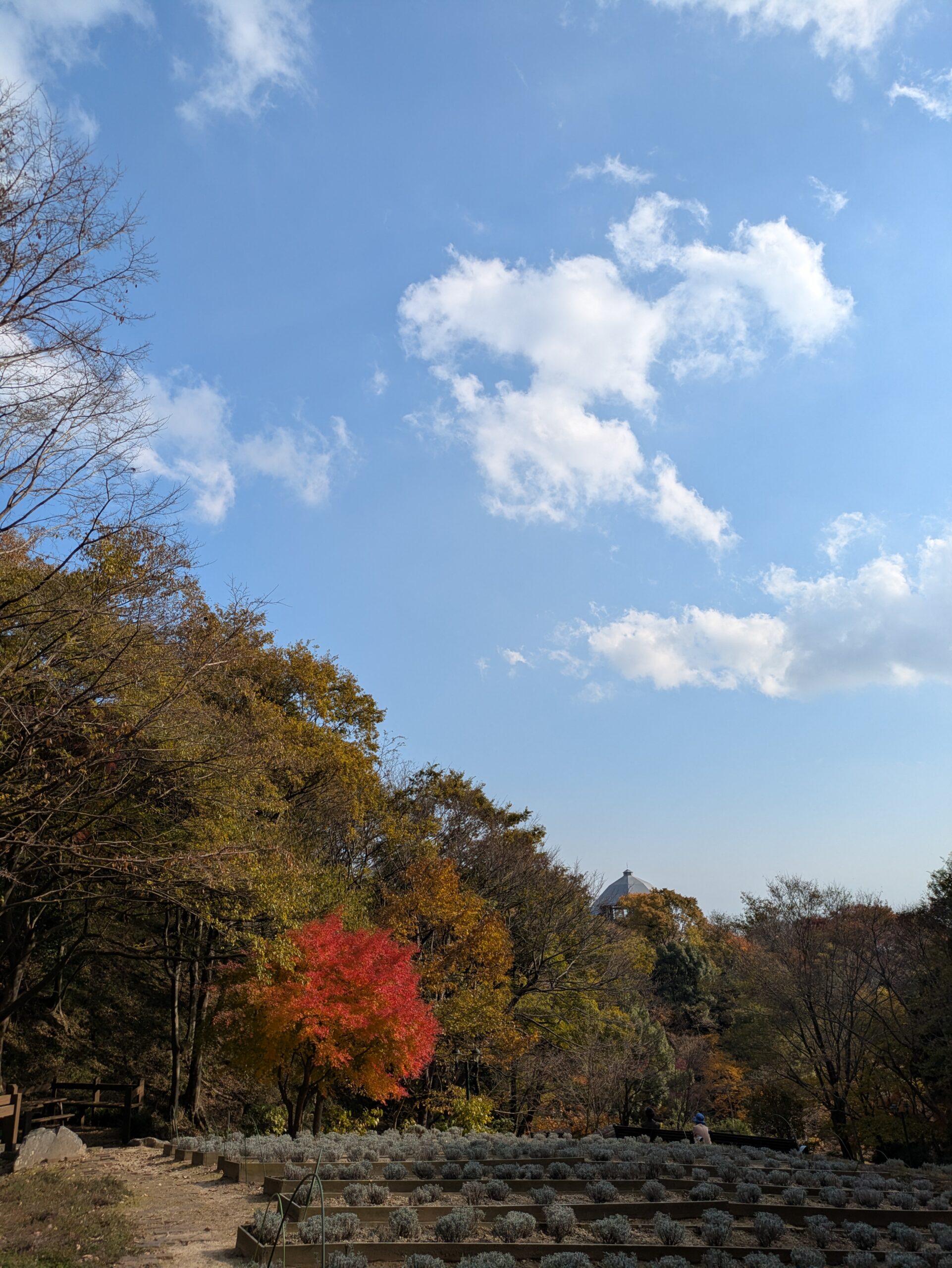 自分を愛しようと思ったら