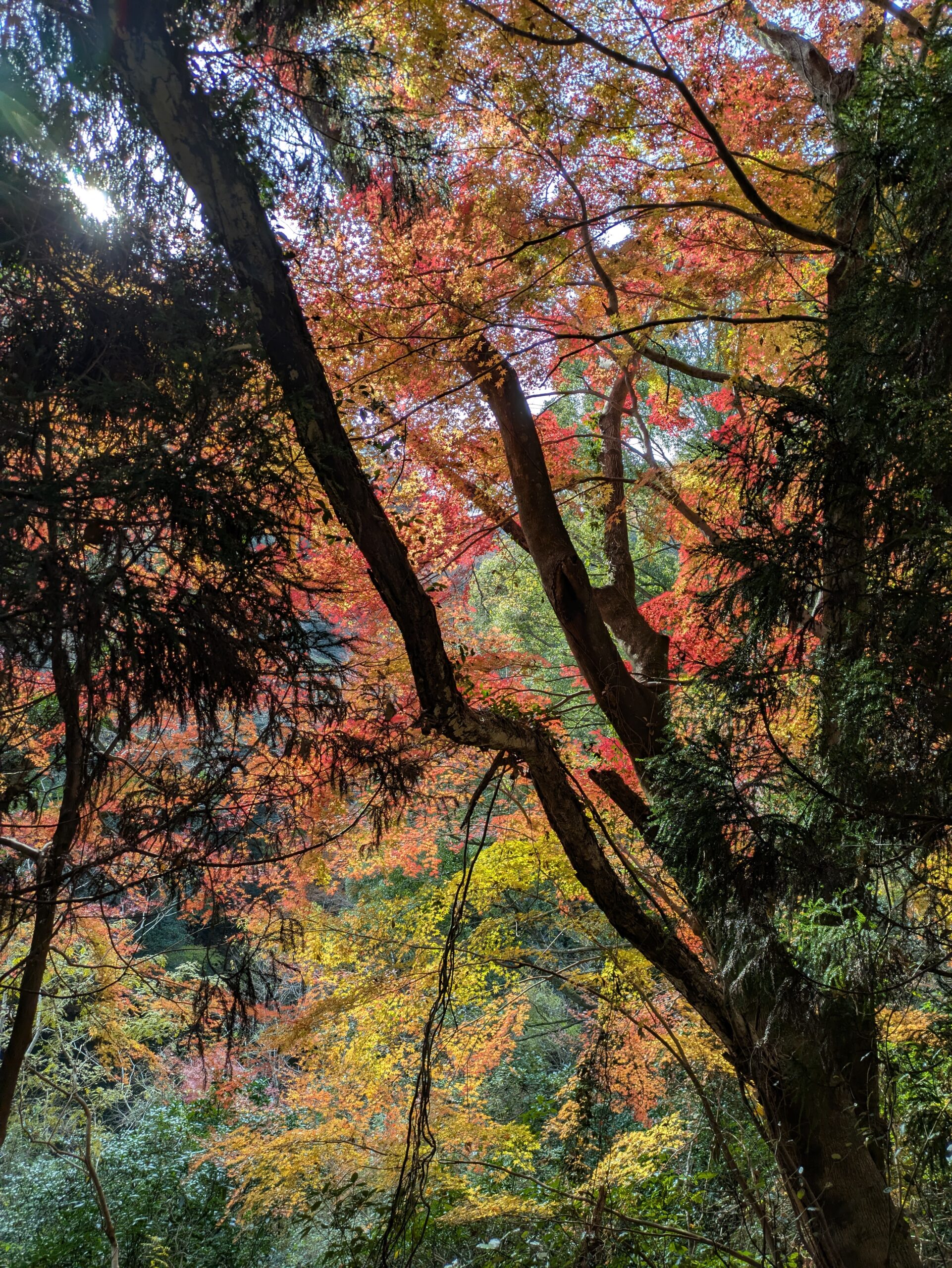 愛とは今地球で起きていること