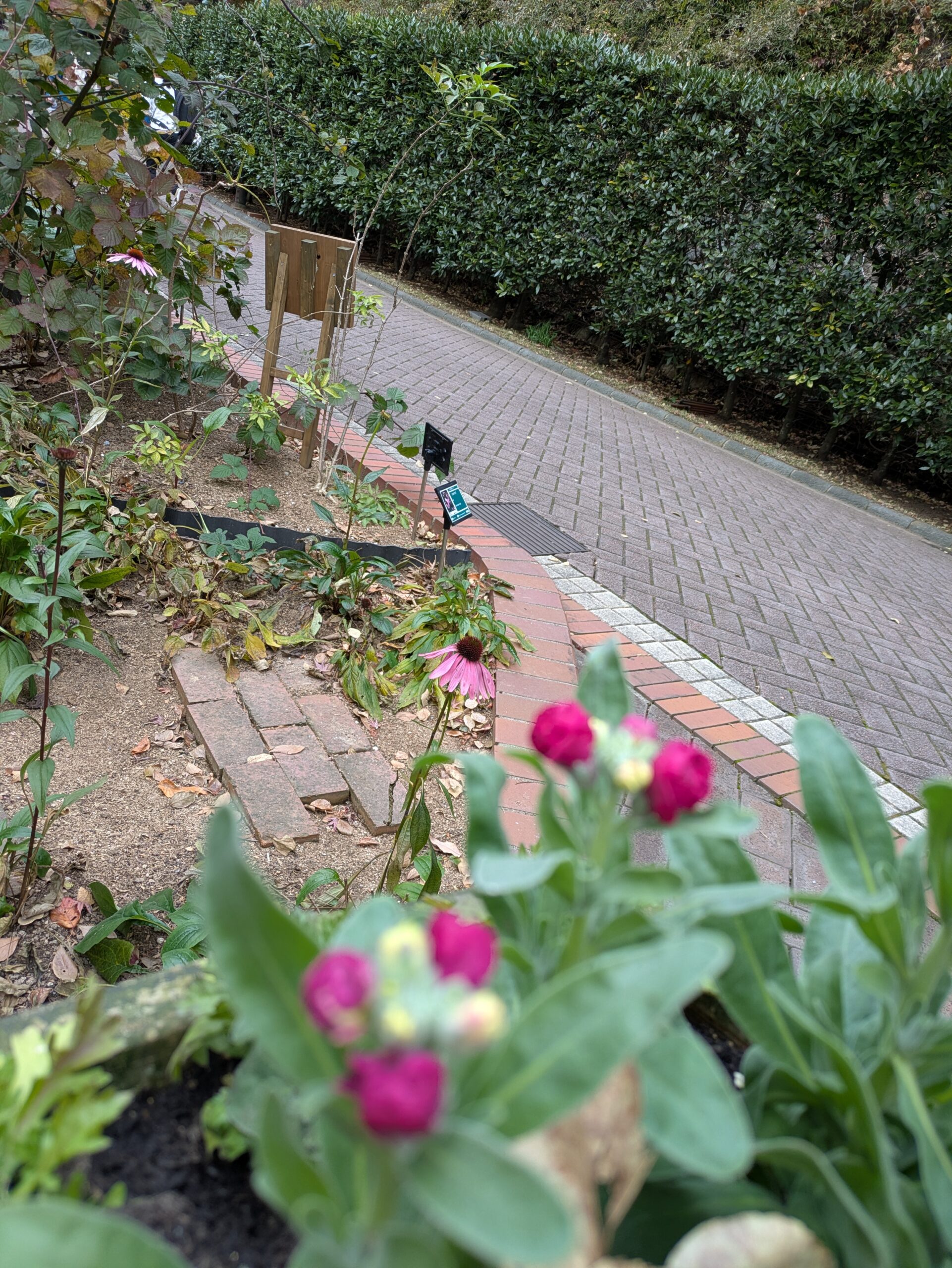 自分の人生で決めた夢が叶うこと