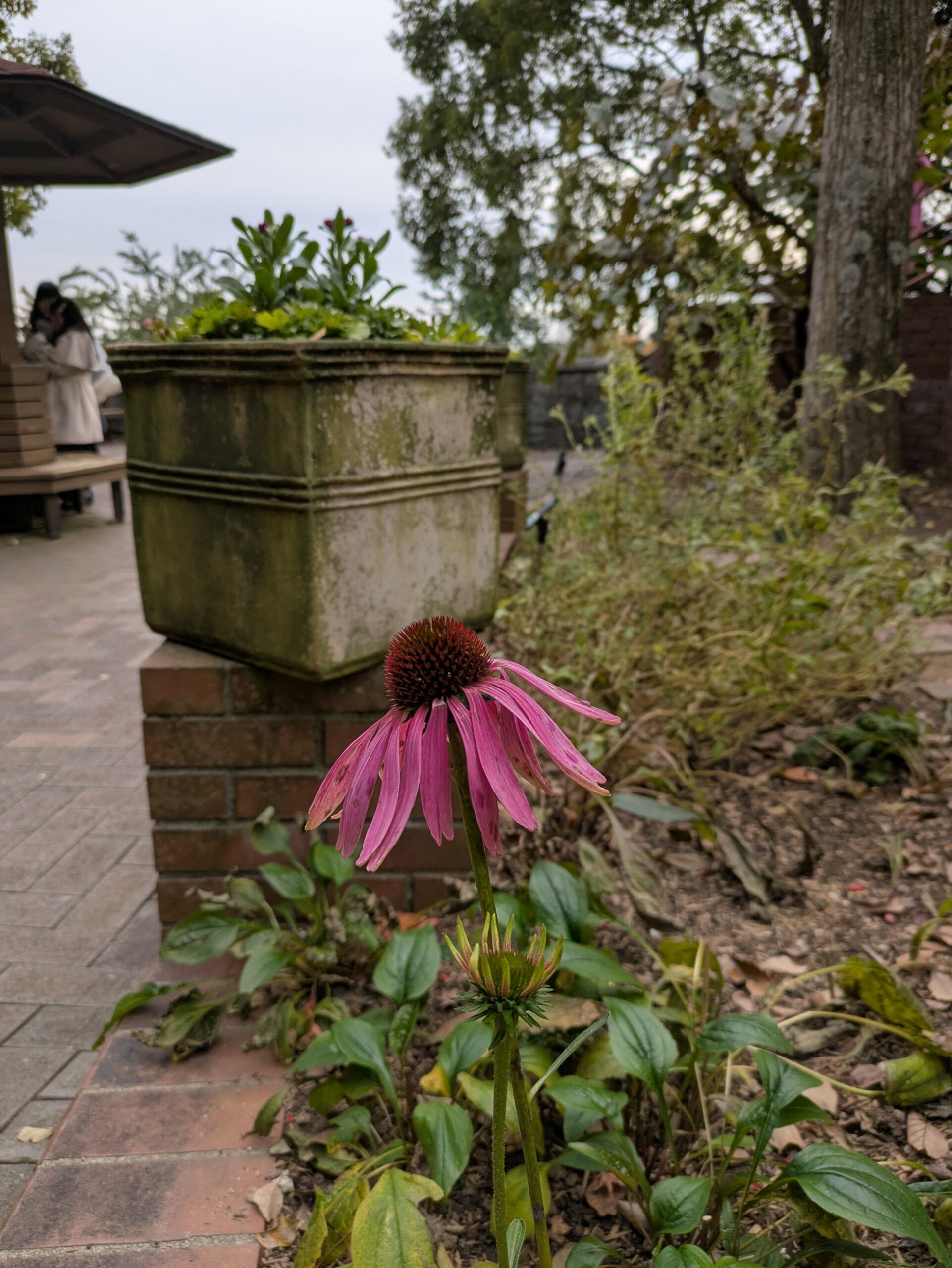 自分の弱点 真実の愛 迷い