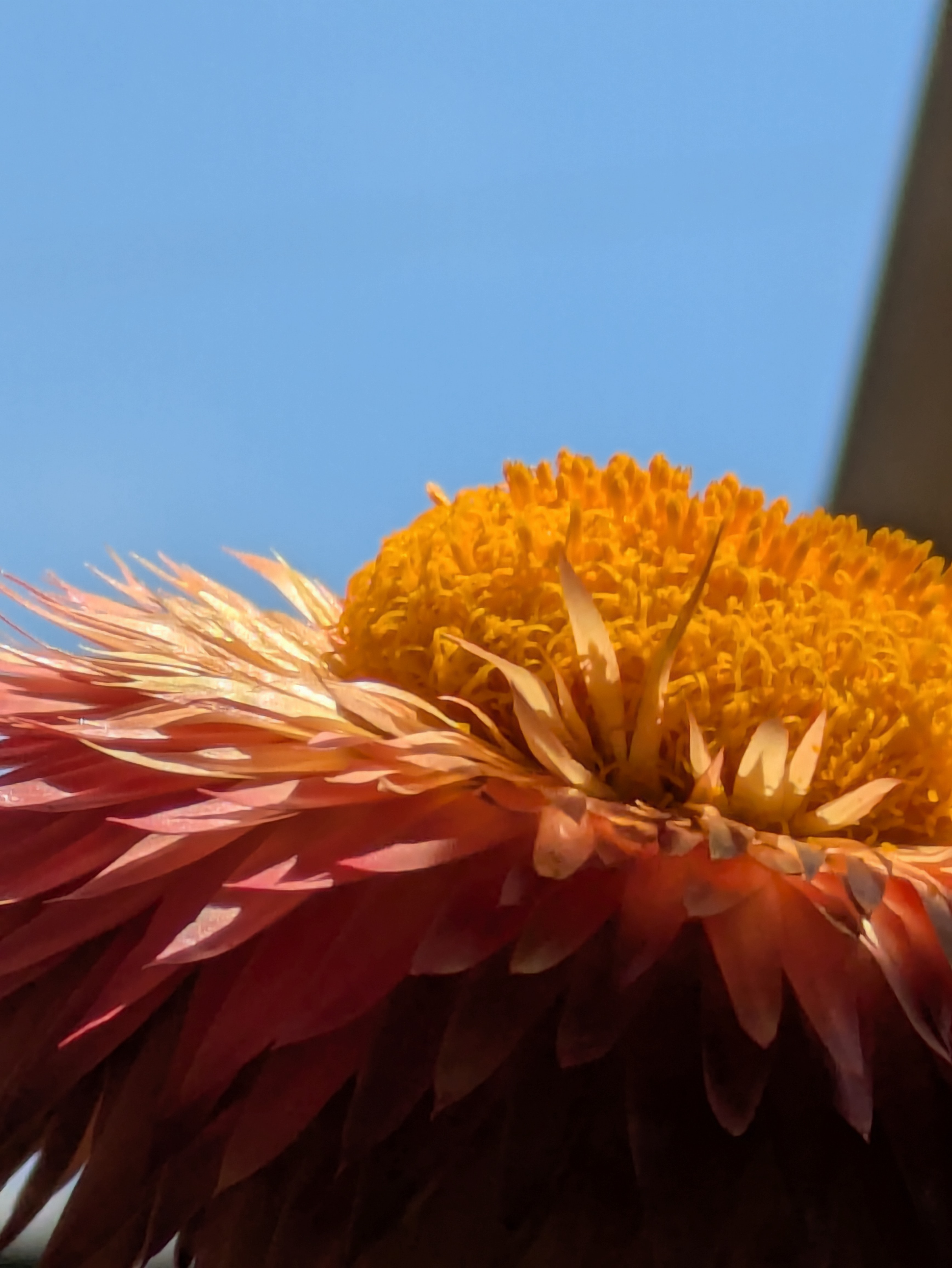 量子力学とスピリチャルを使って解放。