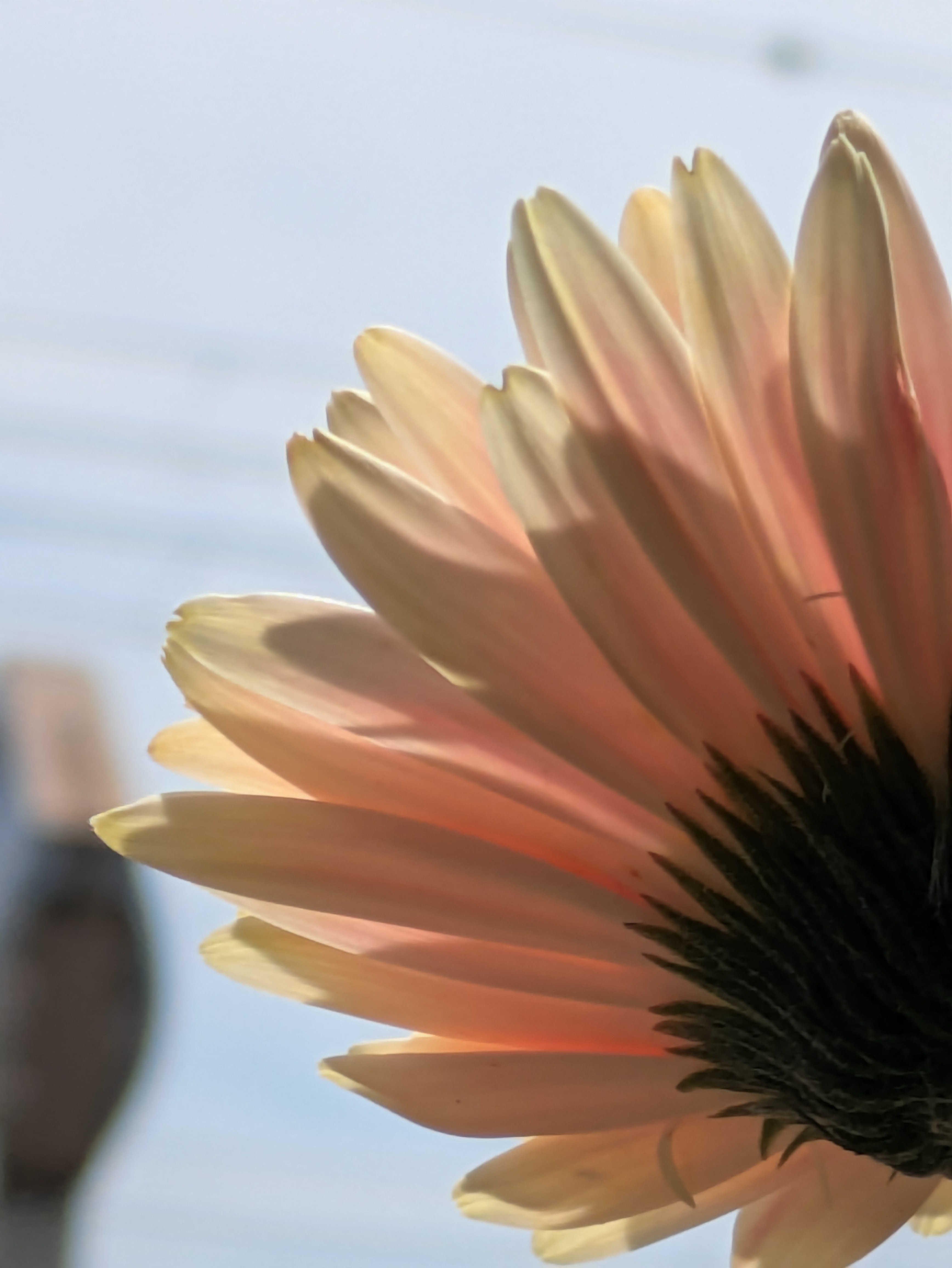 やっと新しい冒険の始まり