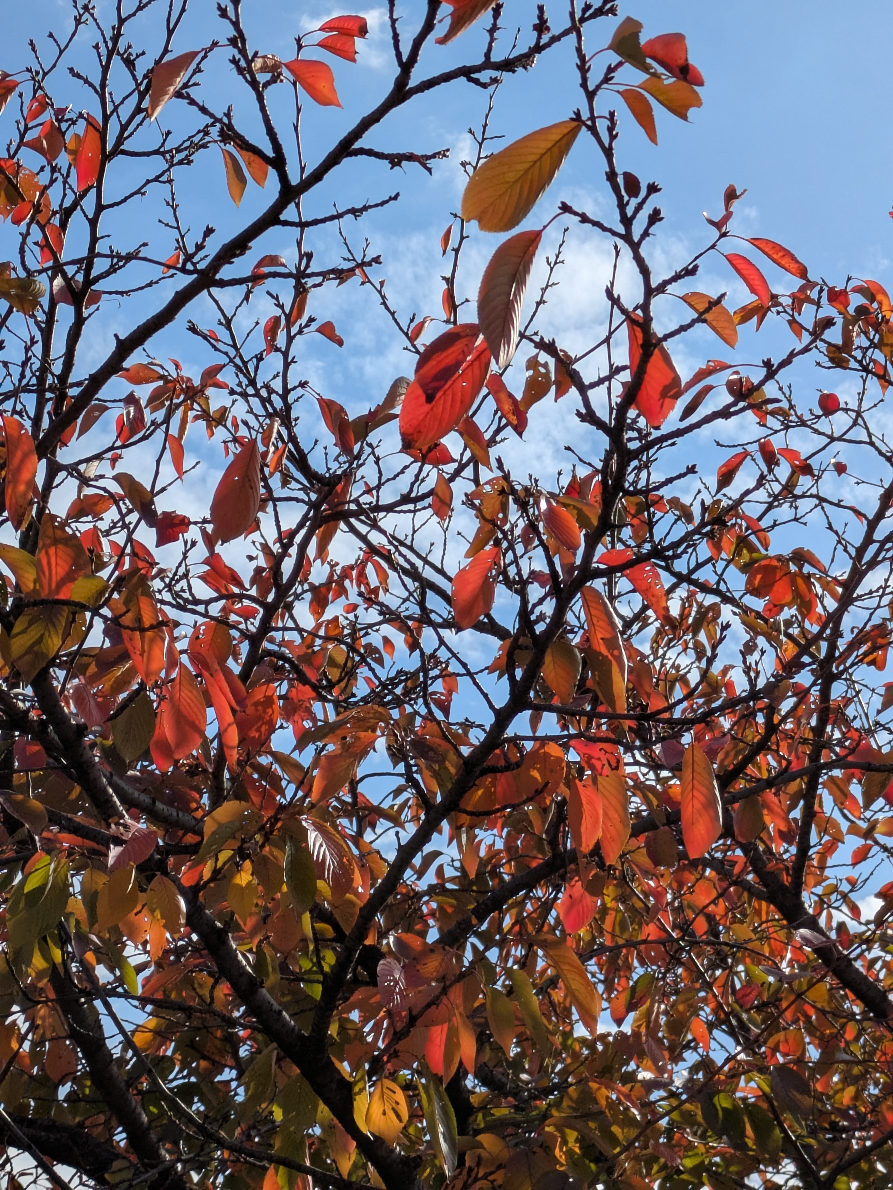 役割がない、それが自分